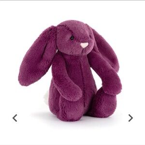 NWT Jellycat Bashful Allium Bunny